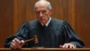 el juez — judge