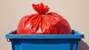 single-use — Einweg-