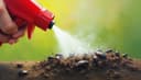 pesticide — Pestizid; Pflanzenschutzmittel