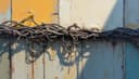 wiring — электропроводка
