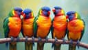 birds of a feather — Gleich und Gleich gesellt sich gern