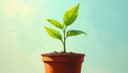 la croissance — growth