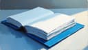 carpeta — folder [NOT carpet]