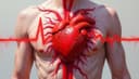 le cœur — heart
