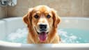 bathe — baden