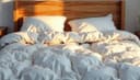 cama — bed