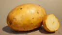patata — potato