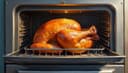 horno — oven