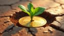 investment — инвестиция