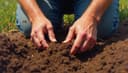soil — Erde