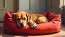 apto para mascotas — pet-friendly