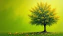 decrease - diminish — sinken - vermindern