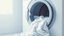 la laveuse [QC] / la machine à laver [FR] — washing machine