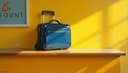 mon bagage à main est ici — my carry-on is here