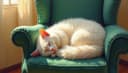 j'ai dormi — I slept