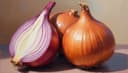 cebolla — onion