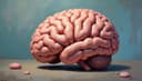 cerebro — brain