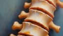 columna vertebral — spine