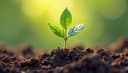 la croissance — growth