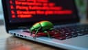 bug — баг; ошибка