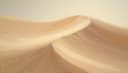 arena — sand