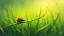 grass — трава