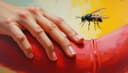 I was stung by an insect — Меня ужалило насекомое