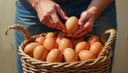 Don't put all your eggs in one basket — Setze nicht alles auf eine Karte
