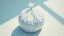 bolsa de plástico — plastic bag