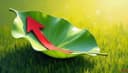 le référencement naturel — organic SEO