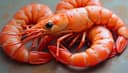 camarón — shrimp
