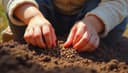 seed — Samen