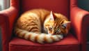 purr — мурлыкать
