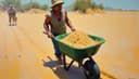 la carretilla — wheelbarrow