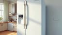 nevera — fridge; refrigerator