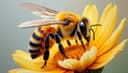 abeja — bee