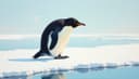 pingüino — penguin