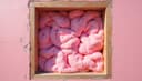 el aislamiento — insulation
