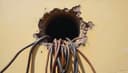 el cableado — wiring