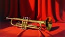 la trompeta — trumpet