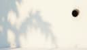 pared — wall