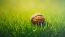 mucho ruido y pocas nueces — much ado about nothing