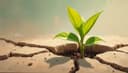 el que la sigue la consigue — persistence pays off
