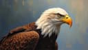 águila — eagle